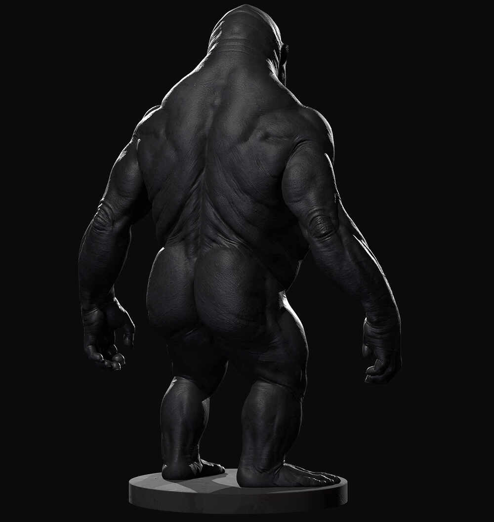 Ape Anatomy Practise 03