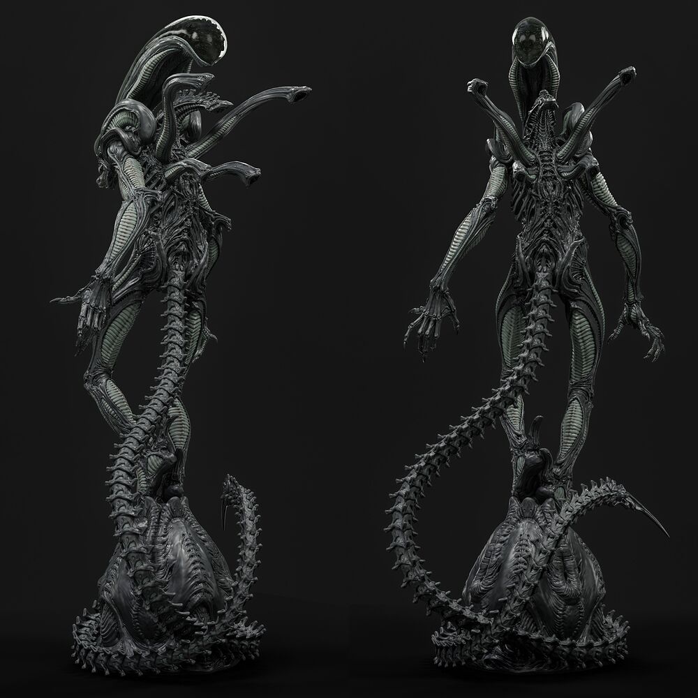 X_003