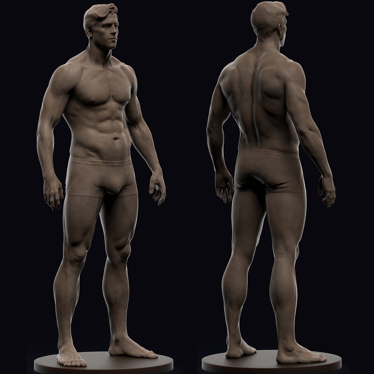 male anatomy combine 2