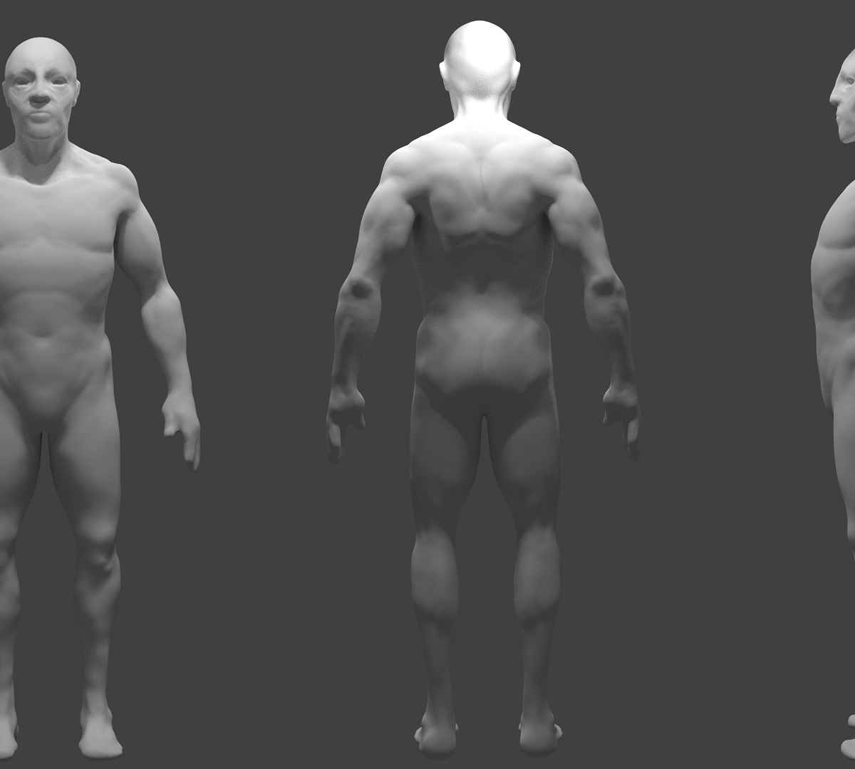 MaleFigure.jpg