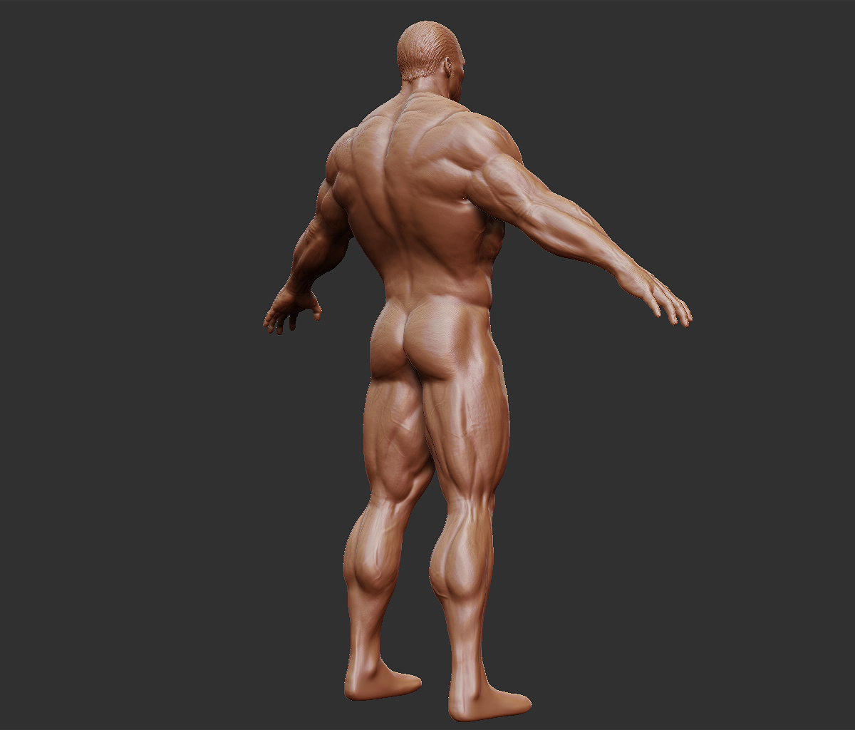 he-man_body_perspBR_01.jpg