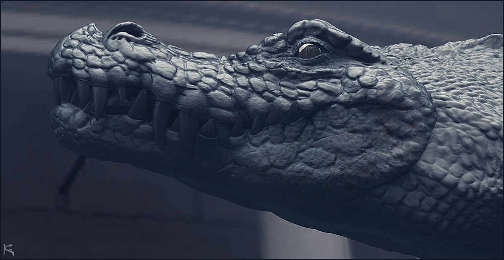 Crocodile1001_01.1001