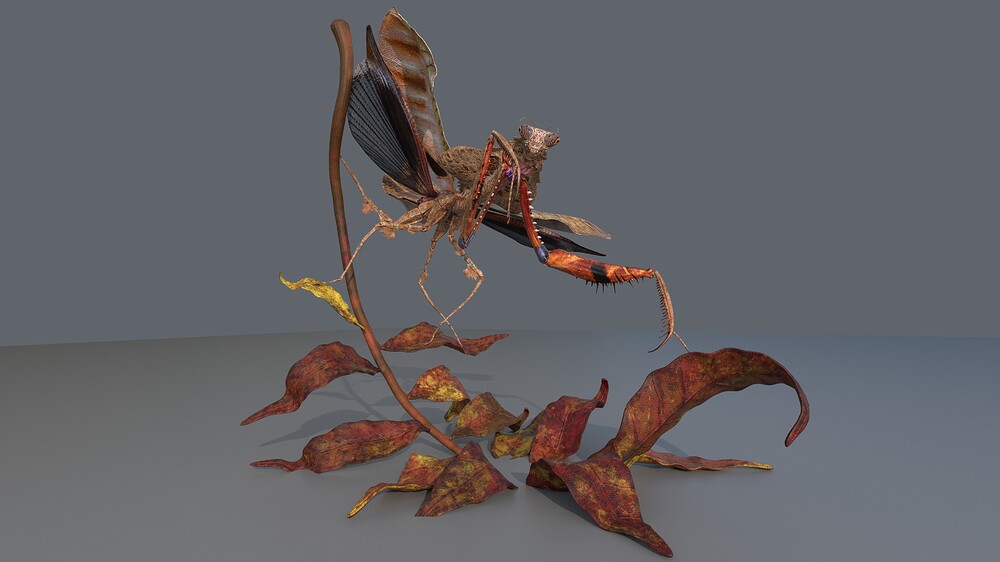 WIP_012