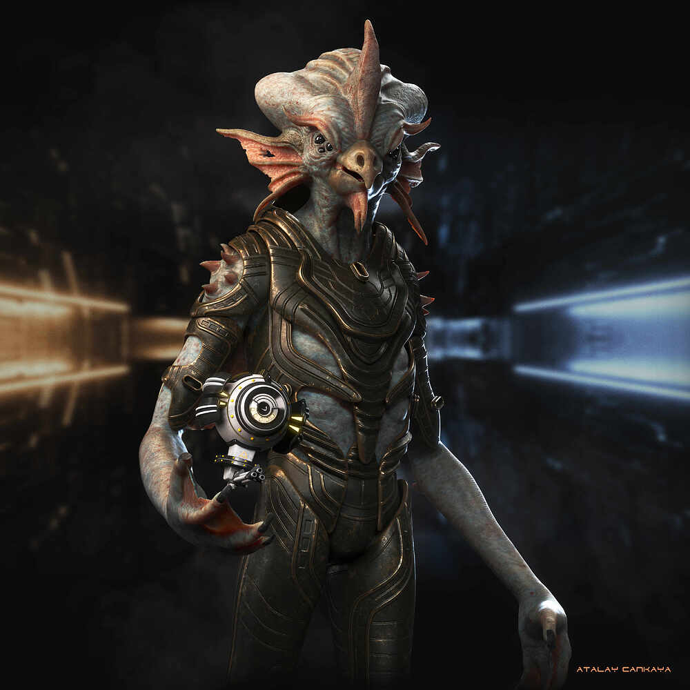 Space Chicken 1