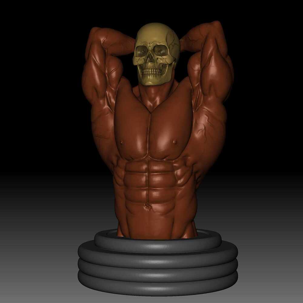 Body 36