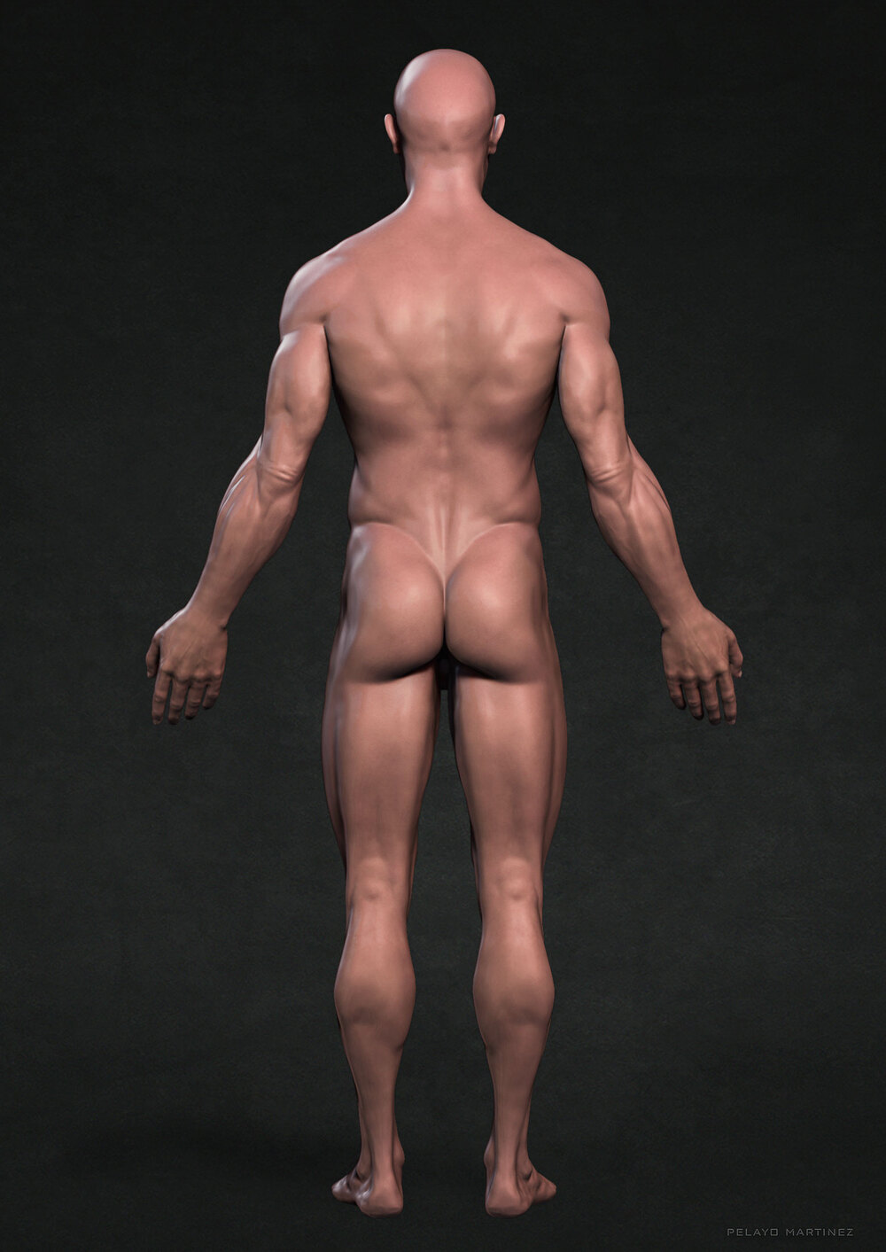 Skin-Back