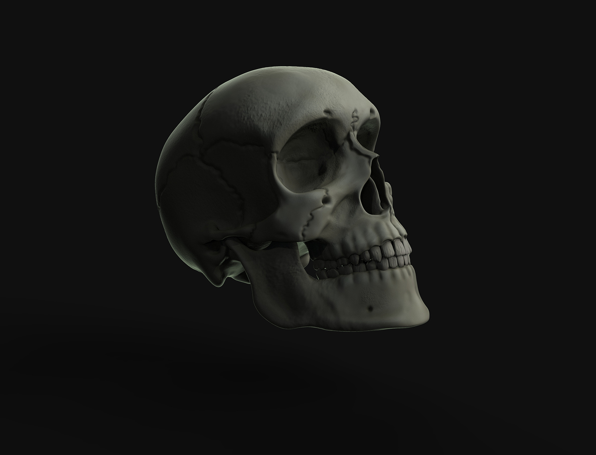 Render10_MariaCalatrava