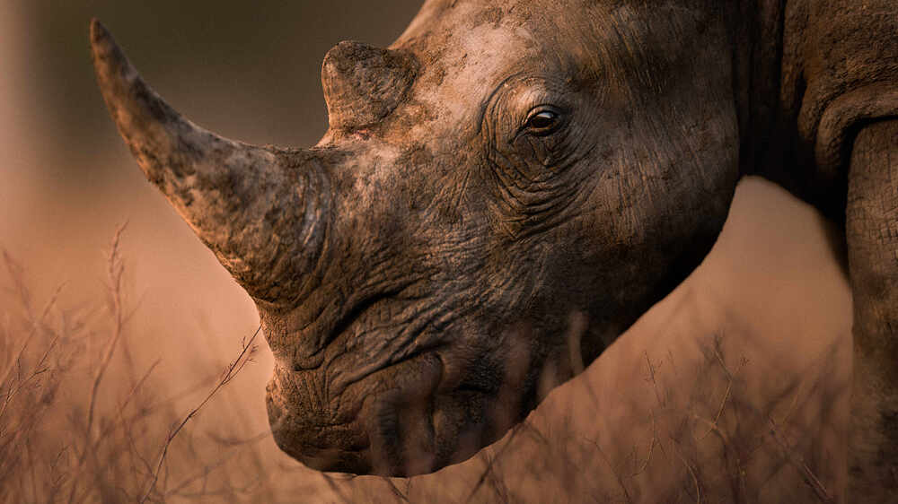 closeUp_render_v001.1004-2