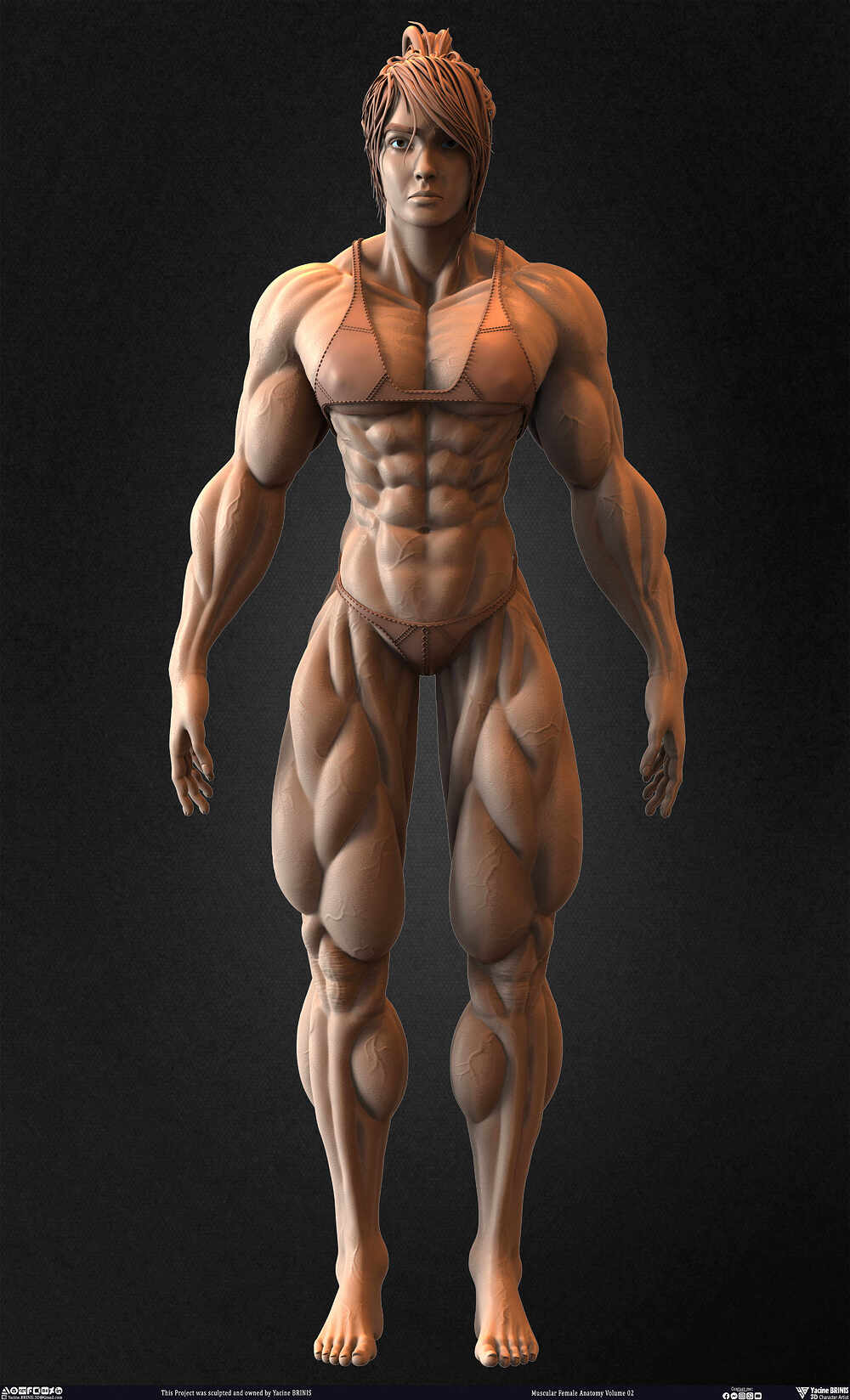 Muscular Female anatomy Volume 02 sculpted by Yacine BRINIS 014