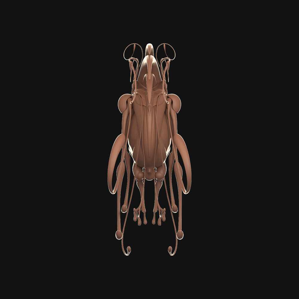npc-turntables.473