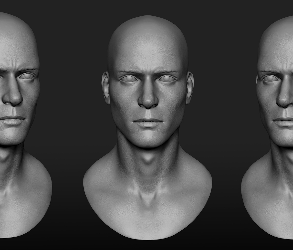 MaleHeadStudyComp_reduced.jpg