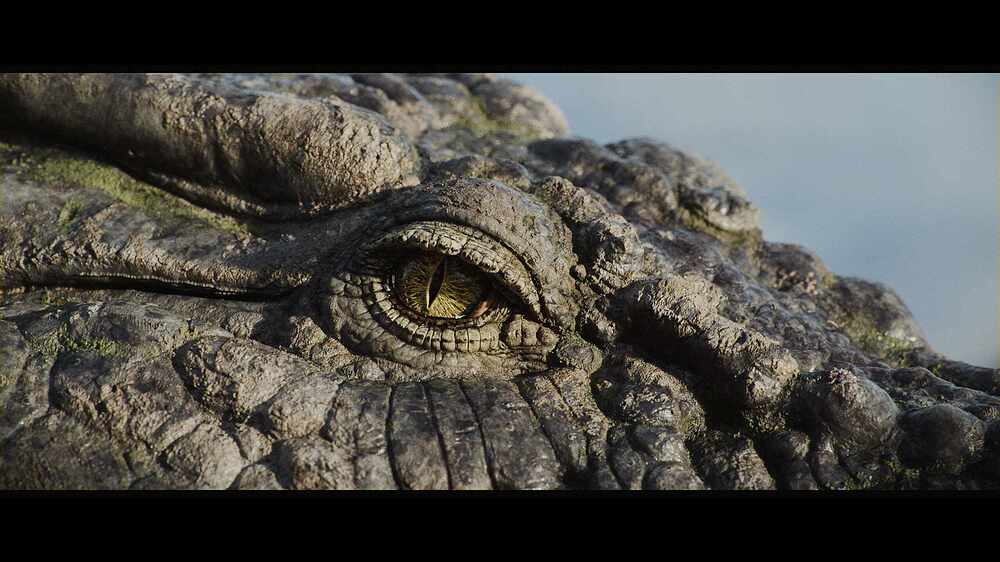 charCrocodile_poseenv_0007