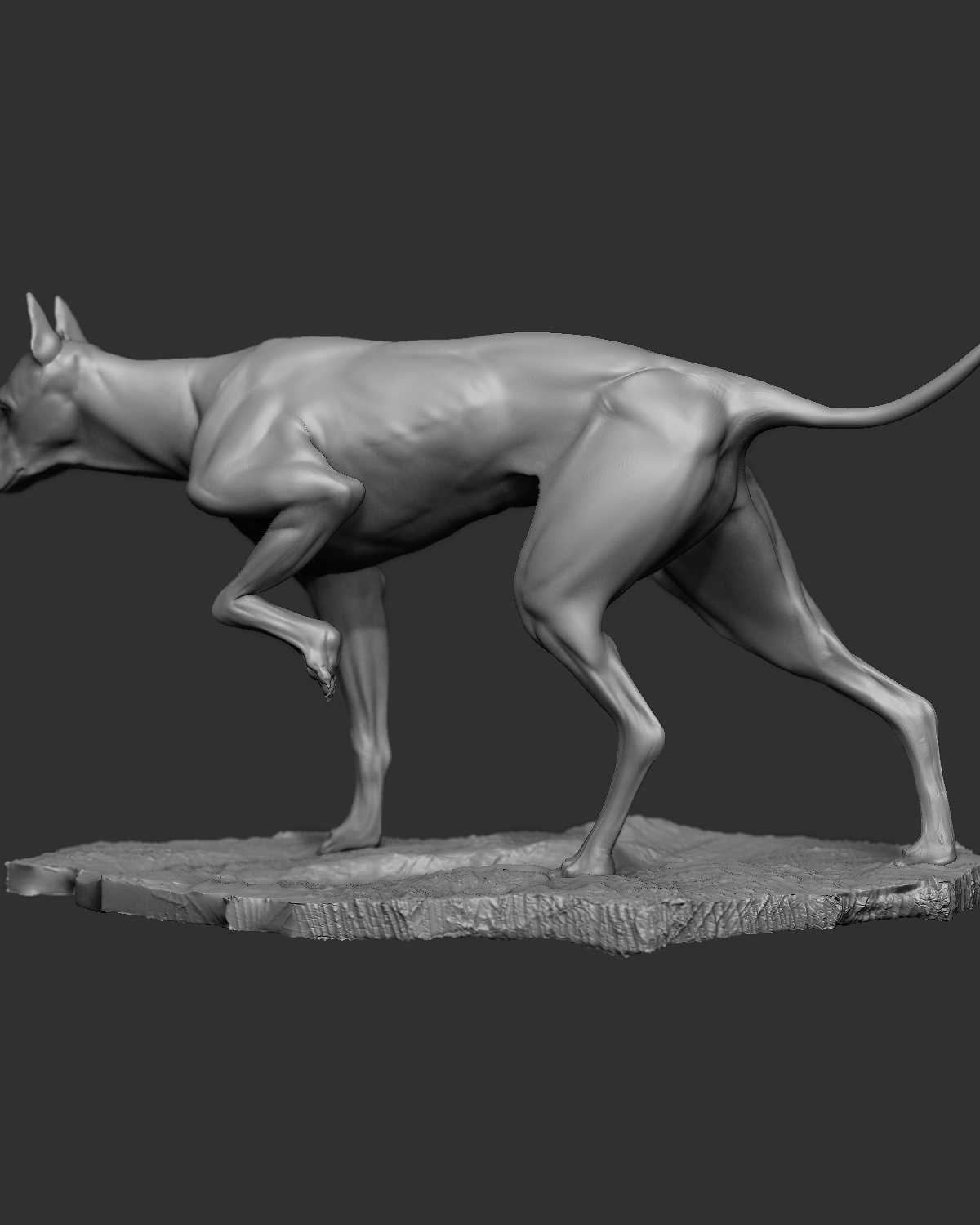 Dog_6.jpg