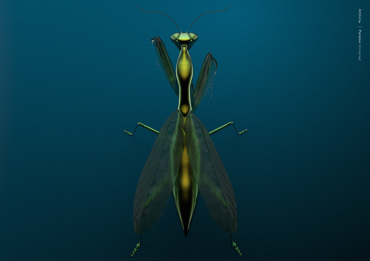 mantis3