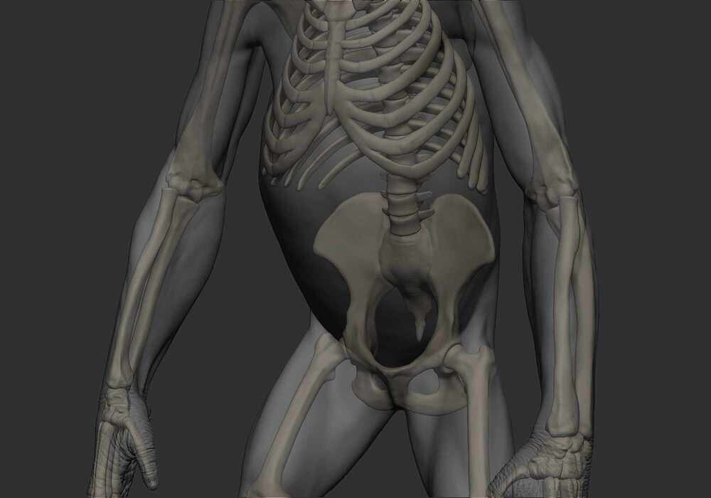 model_06