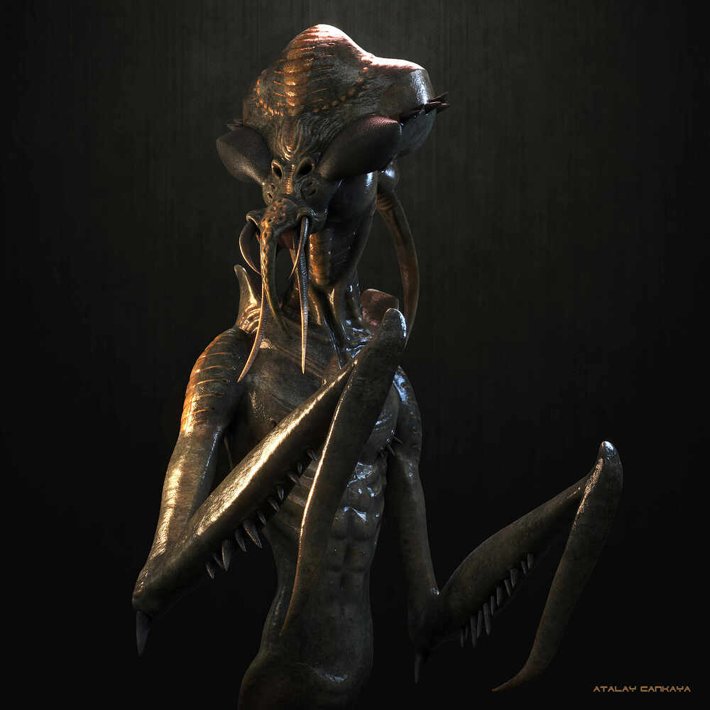 Hunter Insect 3