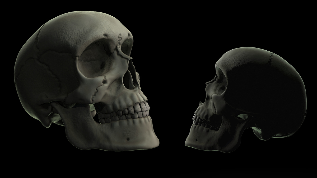 Render7_MariaCalatrava