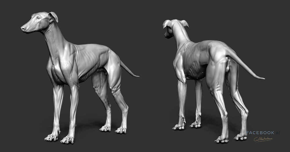 04_gael-kerchenbaum-galgo-breakdown-01-002