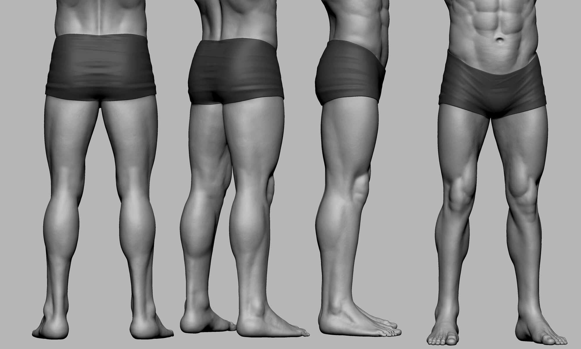 Anatomy Practice ZBrushCentral