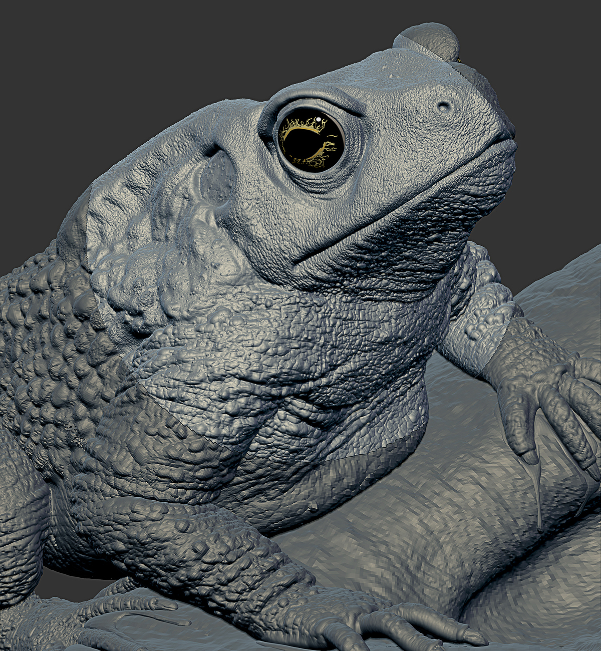 Toad Goblin ZB1_Jordan Moodaliar