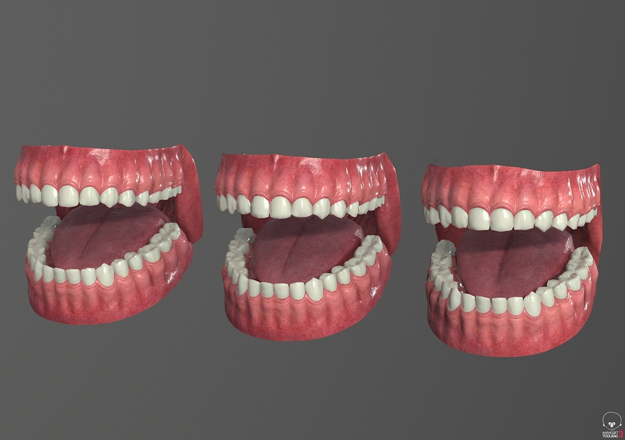 Toolbag_screenshot_01