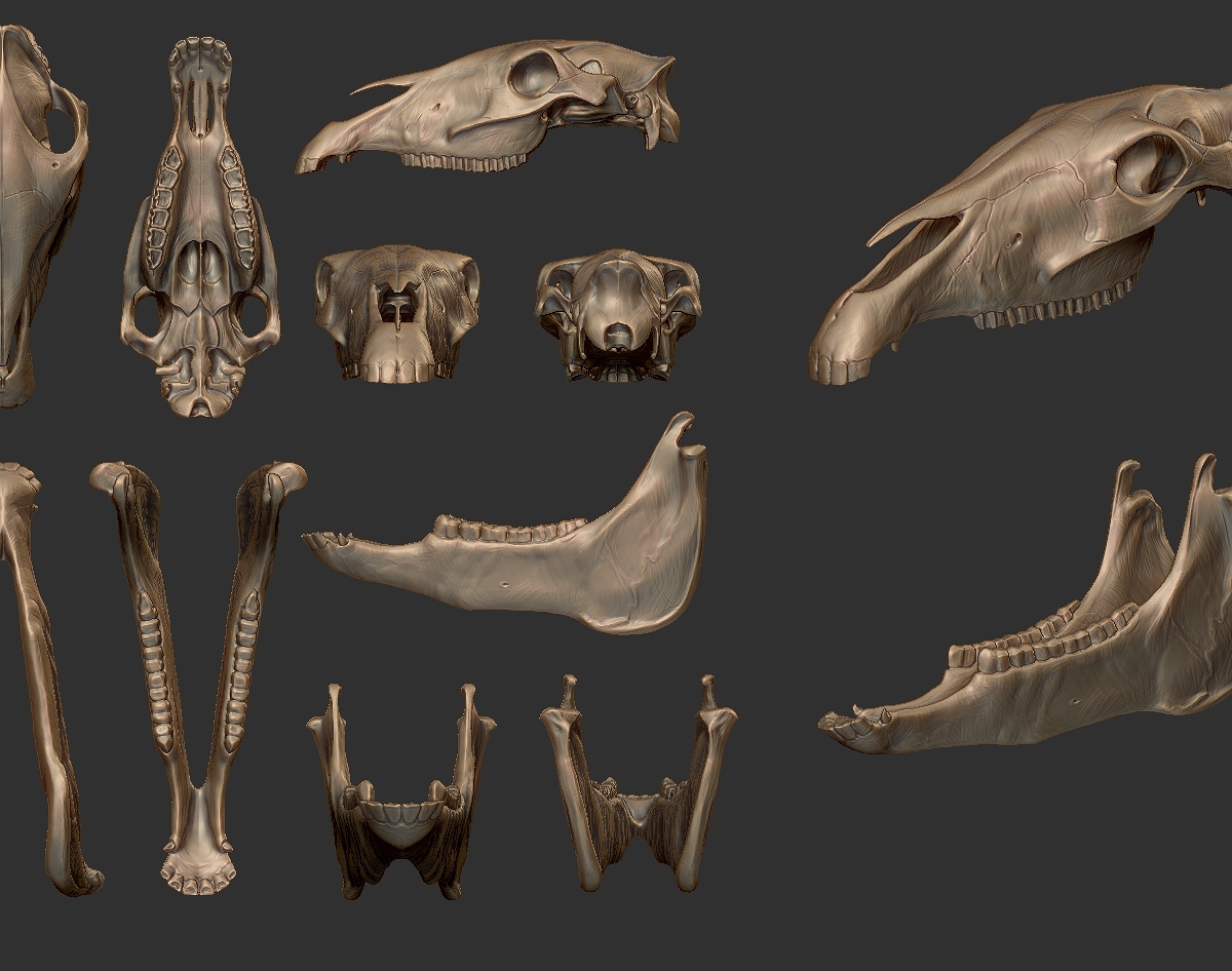 bM_skullPreviews.jpg