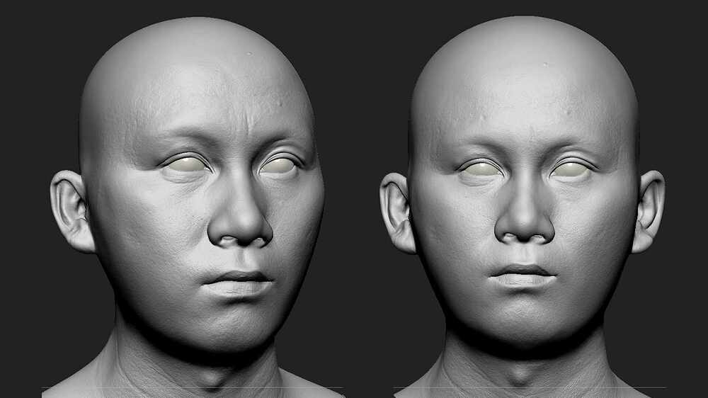 Sculpting
