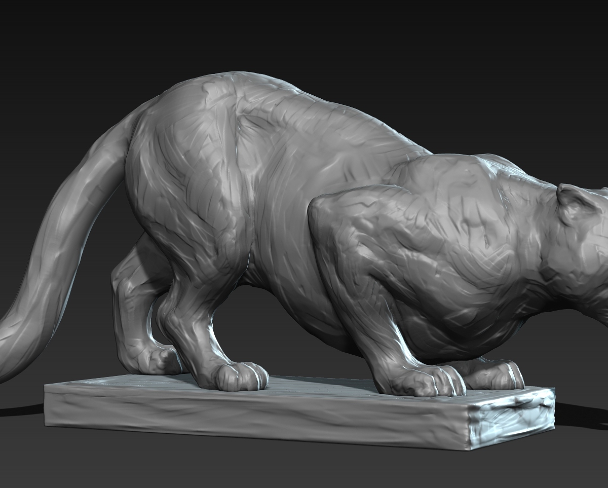 SNOWLEOPARD_01.jpg