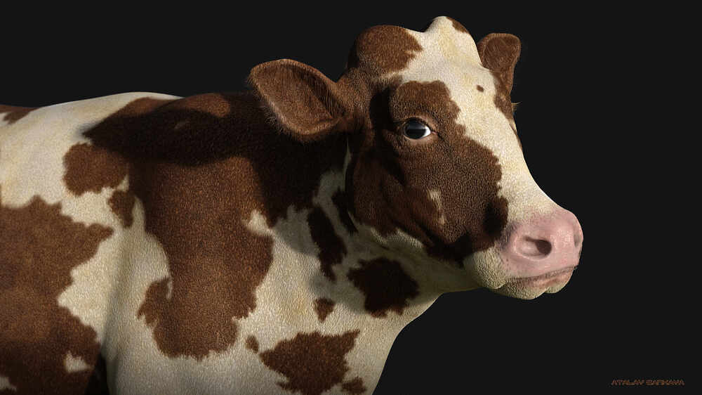 Cow 4