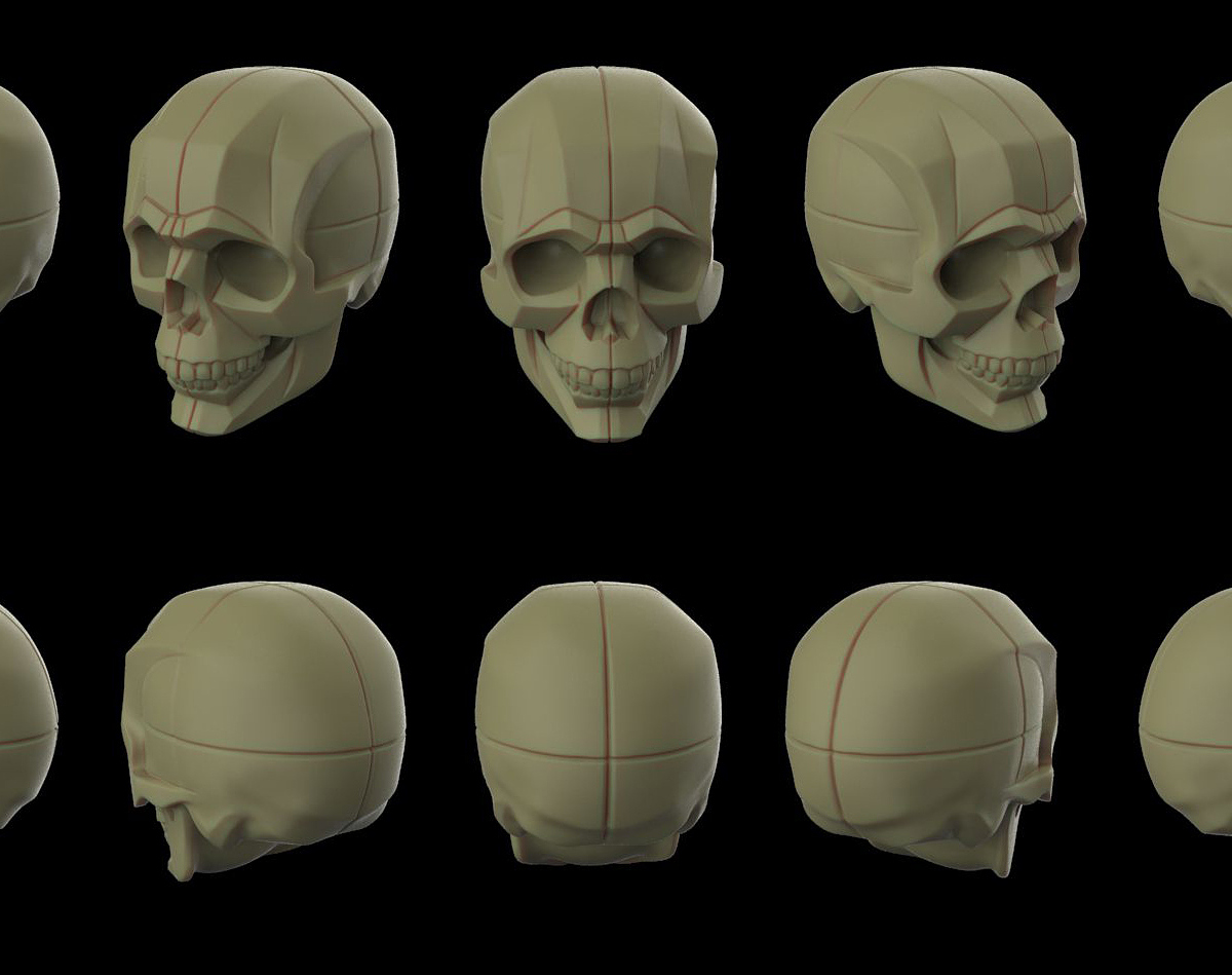 Skull.jpg