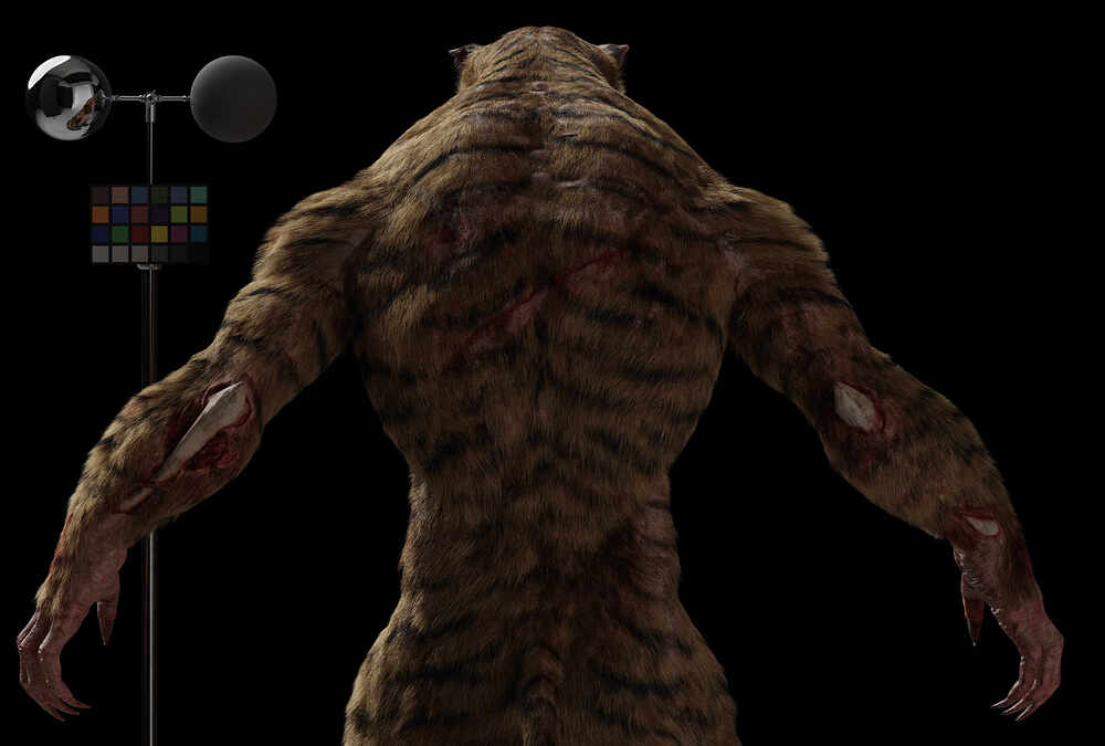 lookdev 4 pd