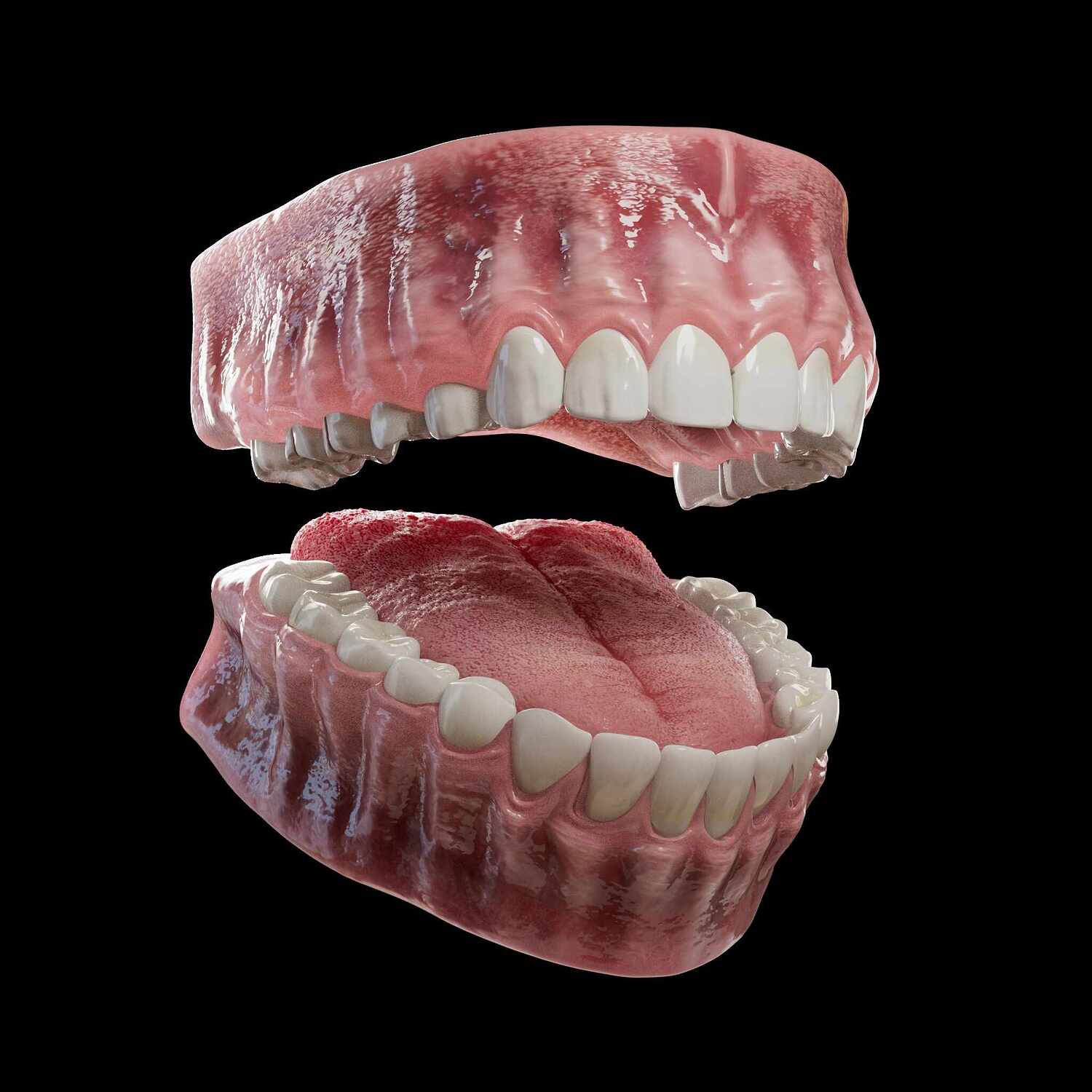Teeth! ZBrushCentral