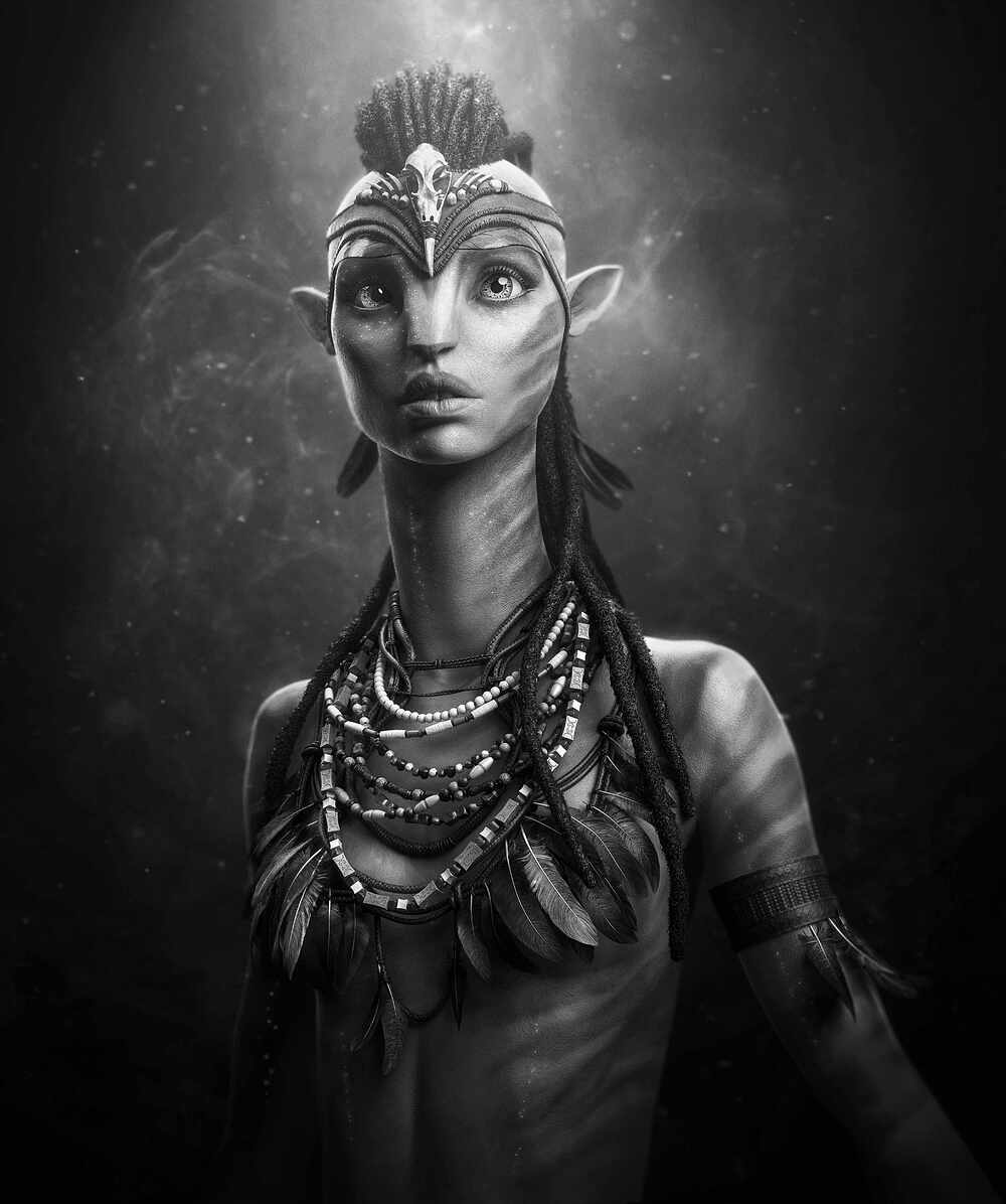 NA VI 1_Comped_Gray