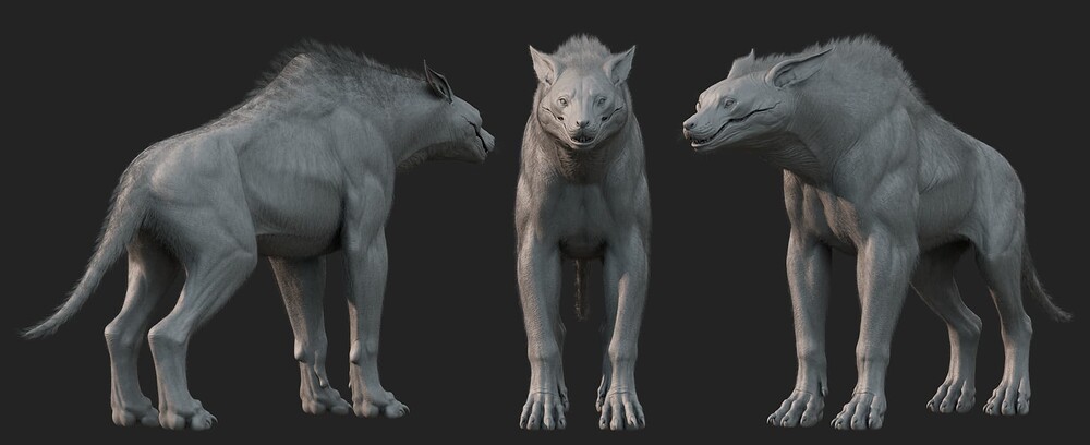 dog full sheet