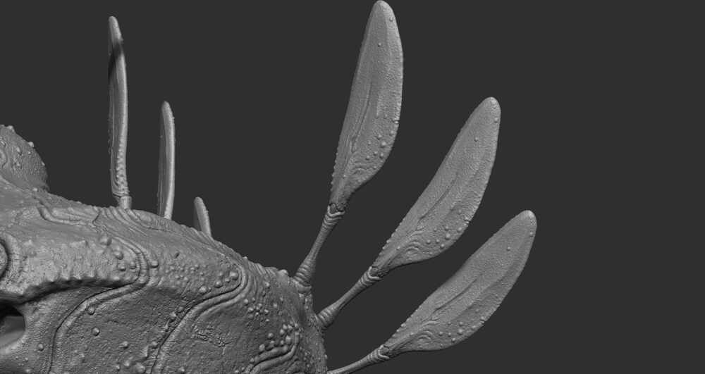 ZBrush Document23