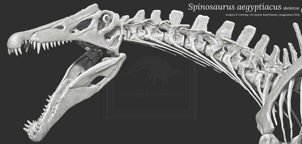 ZBrush Document3
