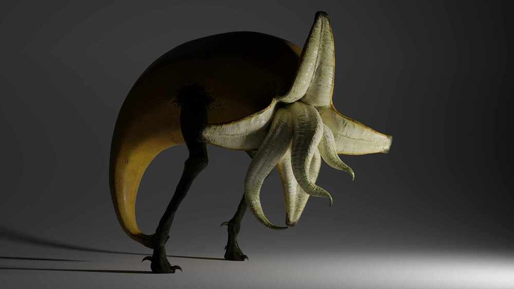 victor-ribeiro-fill-light1