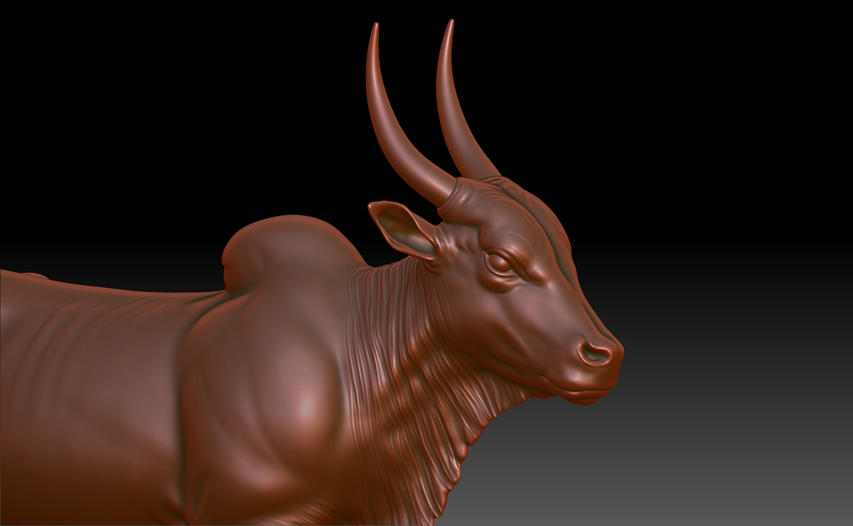 BPR_Bull_03