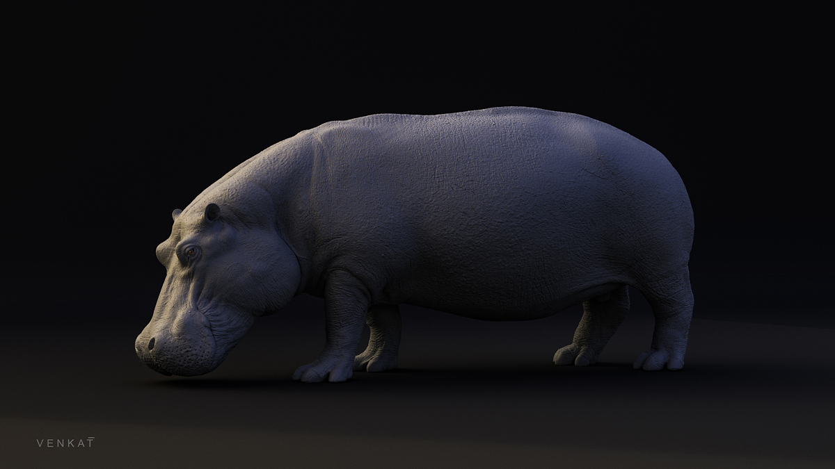 hippo_14_fx