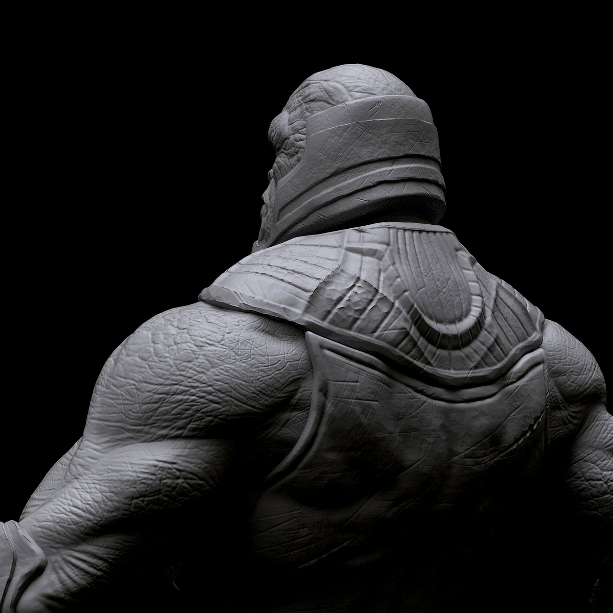Gray_back