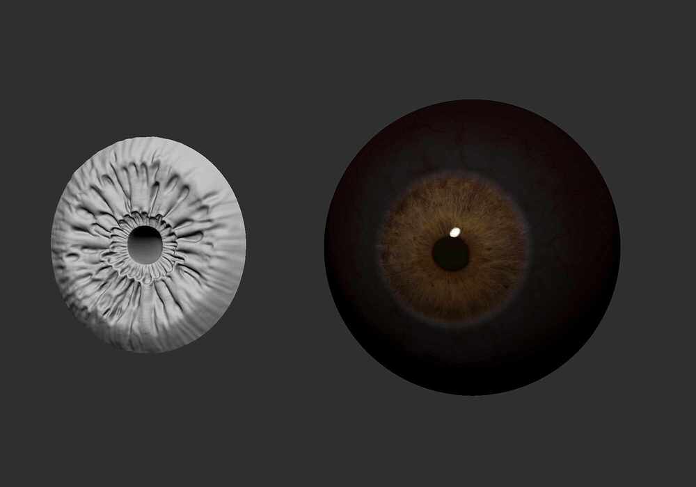 eyes