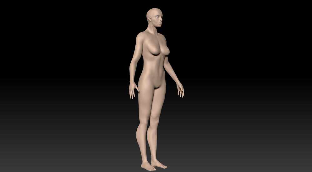 Mujer Compo