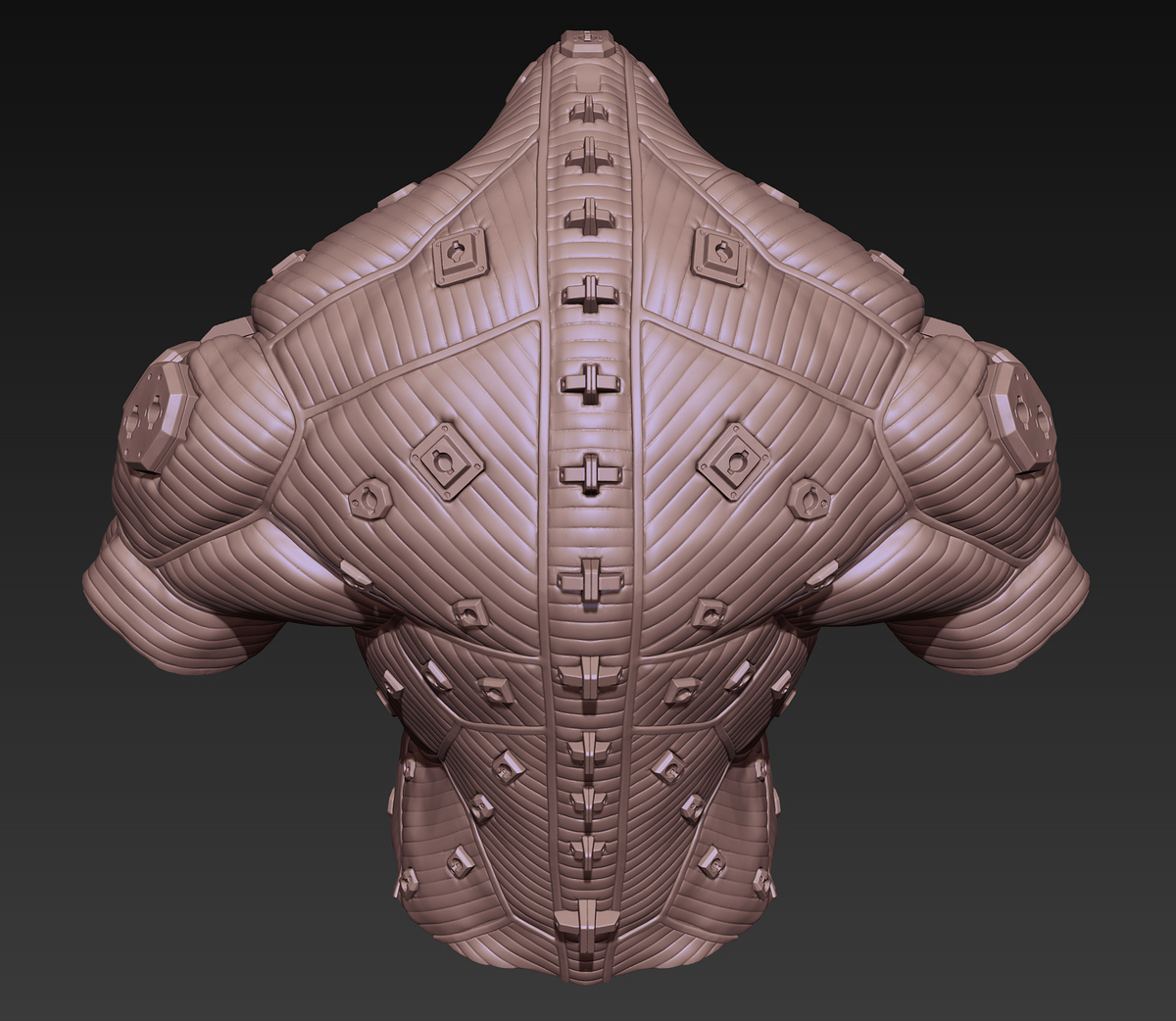 rhino_high_04
