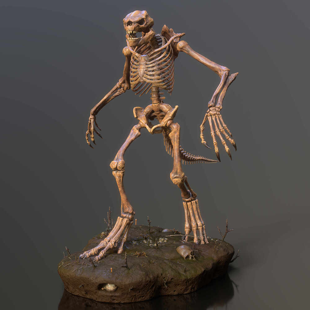 Lizard_Skeleton_02b