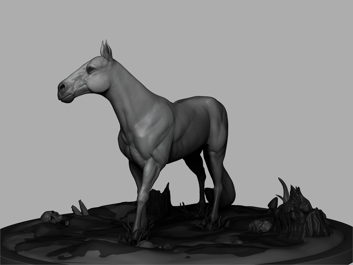 Horse03