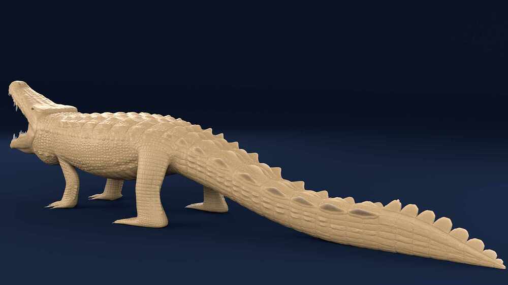crocodilemaya4