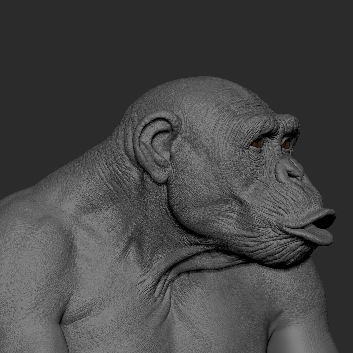 ZBrush_1004