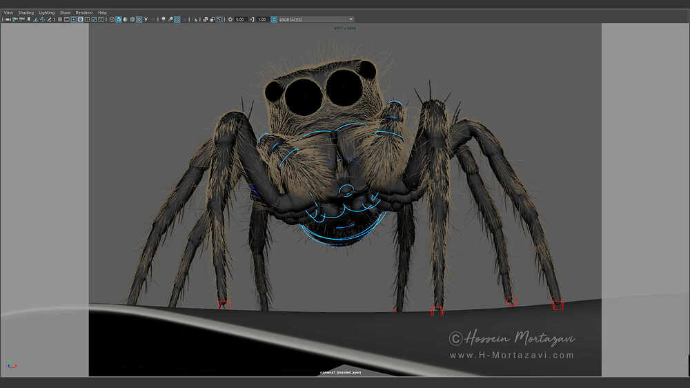 Jumping_Spider_WIP_10