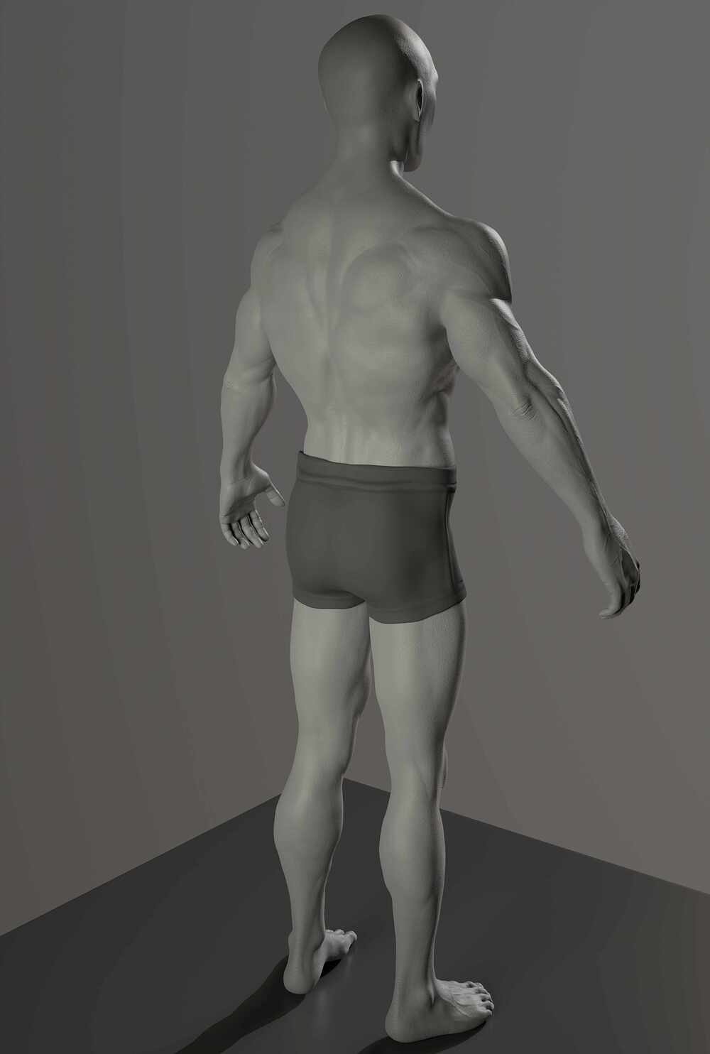 anatomy_3