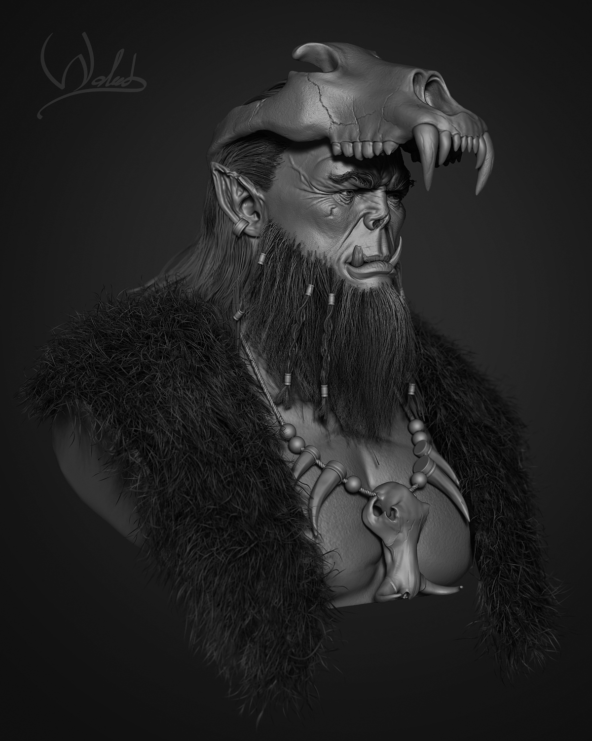 Orc_view1Comp_NOSignature